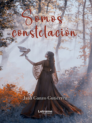 cover image of Somos constelación
